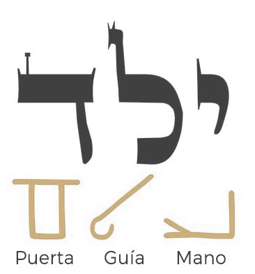 jonas-denil-E0gXV5Jvbzk-unsplash