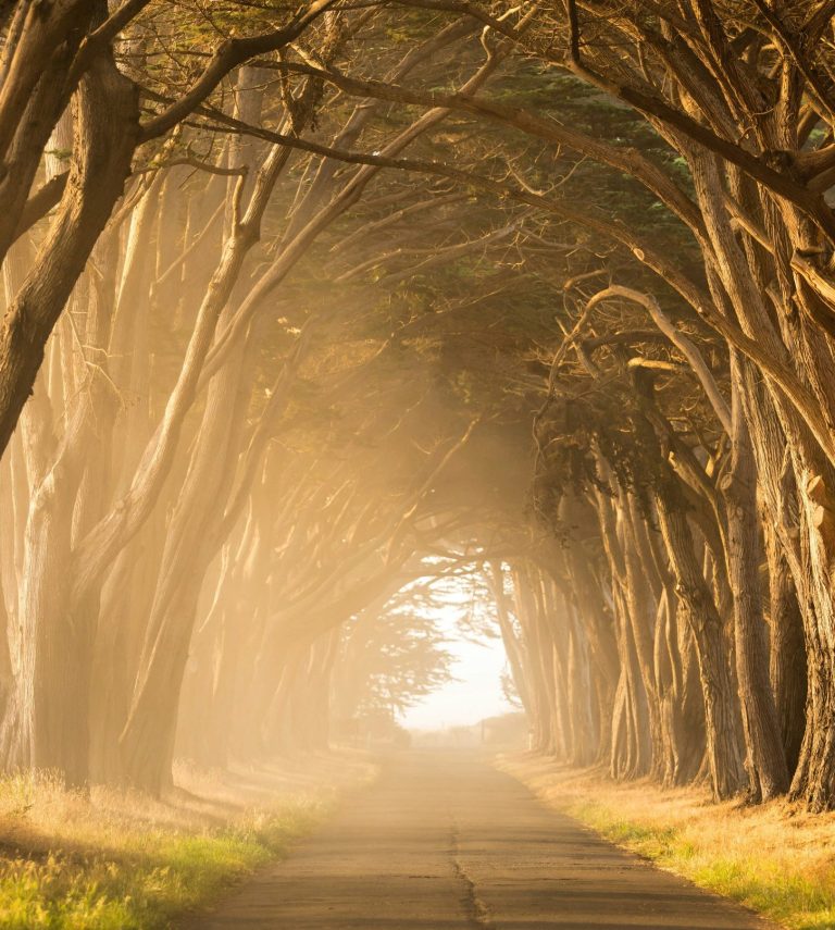 jonas-denil-E0gXV5Jvbzk-unsplash