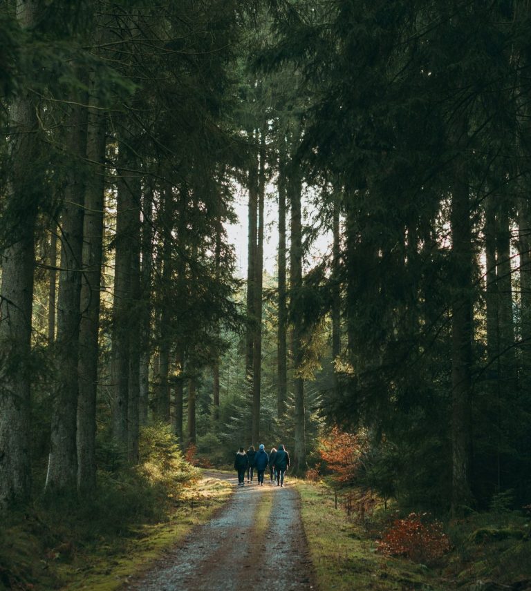 jonas-denil-E0gXV5Jvbzk-unsplash